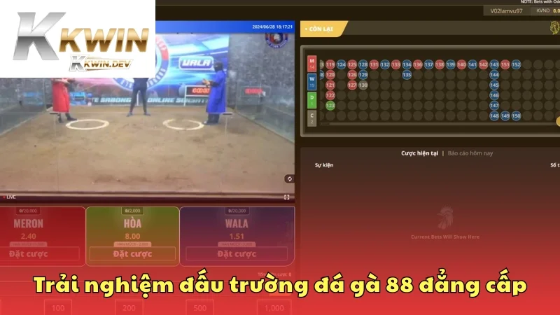 Trải nghiệm đấu trường đá gà 88 đẳng cấp