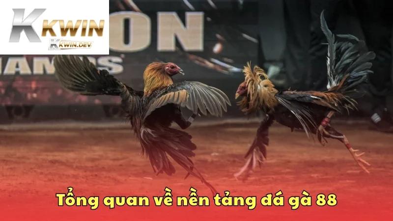 Tổng quan về nền tảng đá gà 88