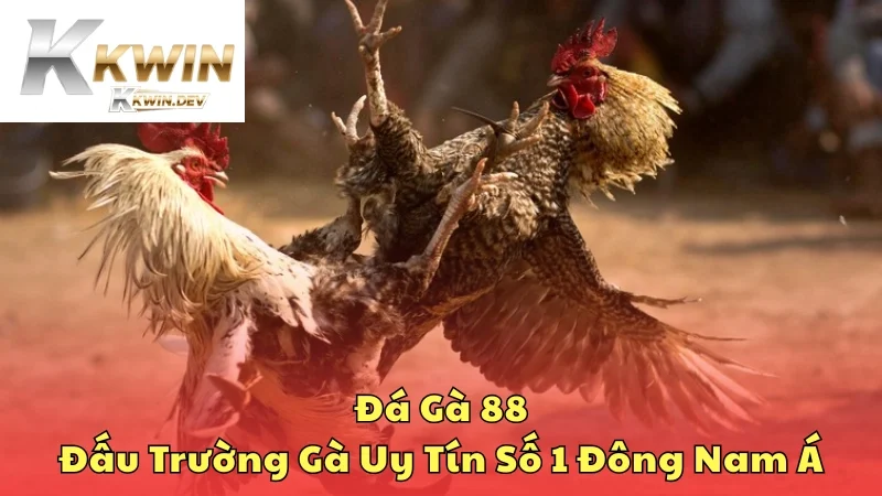 đá gà 88