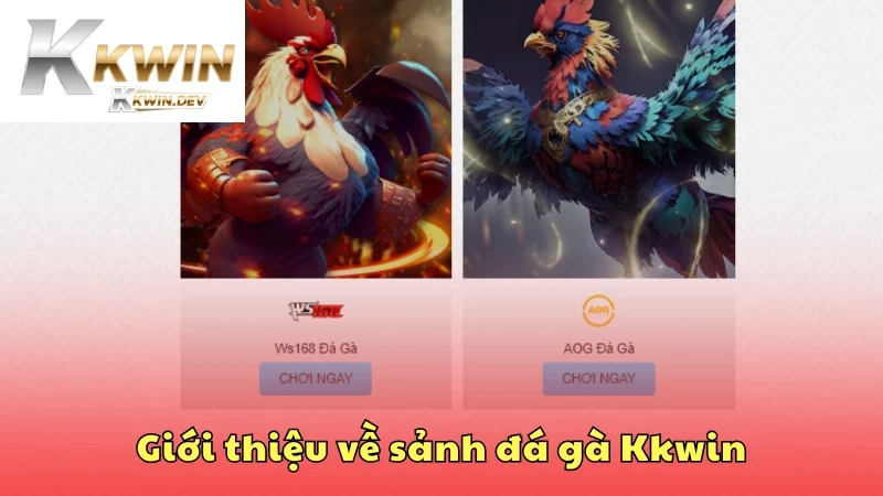 Giới thiệu về sảnh đá gà