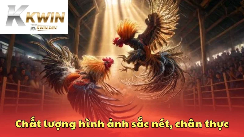 Chất lượng hình ảnh sắc nét, chân thực
