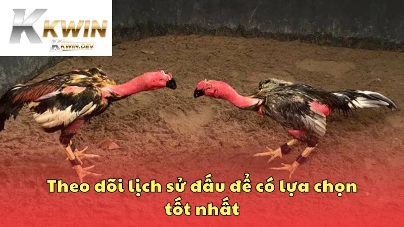 Theo dõi lịch sử đấu để có lựa chọn tốt nhất