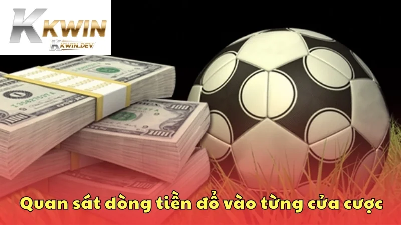 Quan sát dòng tiền đổ vào từng cửa cược bóng đá