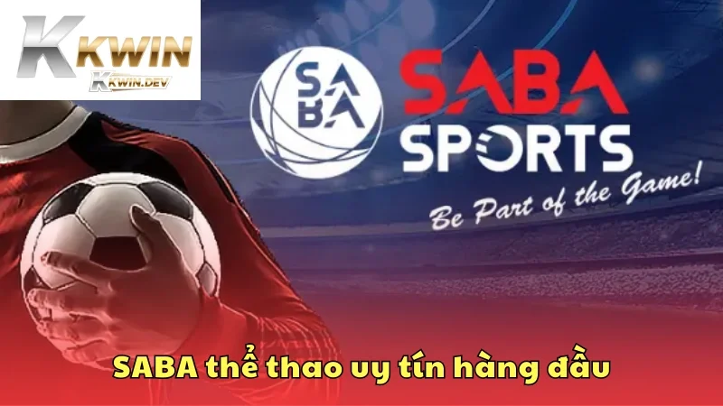 Nhà cung cấp SABA thể thao uy tín hàng đầu